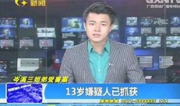 岑溪新闻爆料事件视频曝光,事件视频曝光引发社会关注
